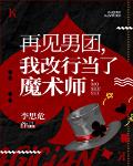 再见男团，我改行魔术大师